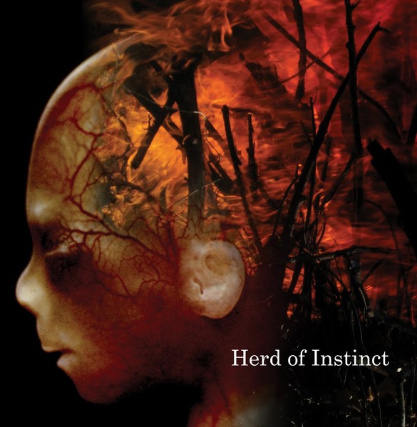 Herd of instinct
